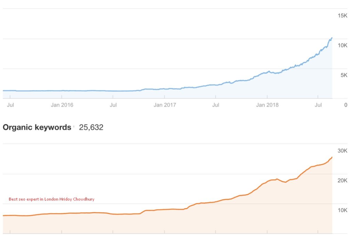 Achieving Top Rank in Travel & Tourism SEO case study by hridoy chowdhury