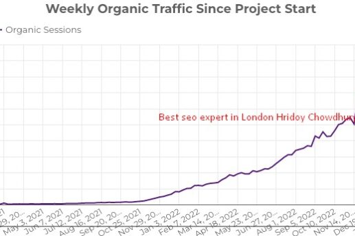 How We Skyrocketed E-Commerce Traffic by Over 11,000% in Just 10 Months case study by hridoy Chowdhury