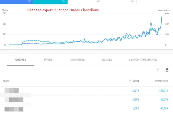 Multiplying Search Traffic 14-Fold in Just Eight Months Through Strategic SEO case study by hridoy chowdhury7